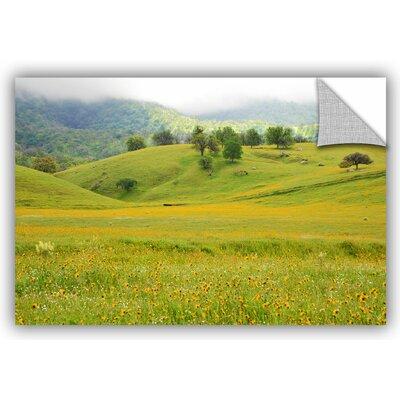 ArtWall Field of Gold Removable Wall Decal | 12 H x 18 W in | Wayfair 0yat092a1218p