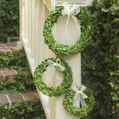 Three Posts™ Boxwood 10 Wreath in White | 6 H x 10 W in | Wayfair THRE7704 31570408