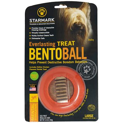 Everlasting Bento Ball with Dental Treat Dog Toy, Large, Orange