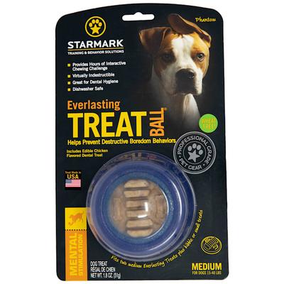 Everlasting Treat Ball With Dental Treat Dog Toy, Medium, Blue