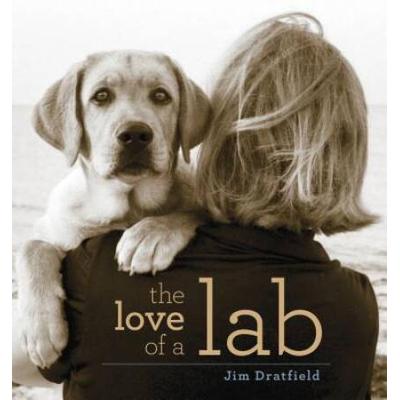 The Love Of A Lab
