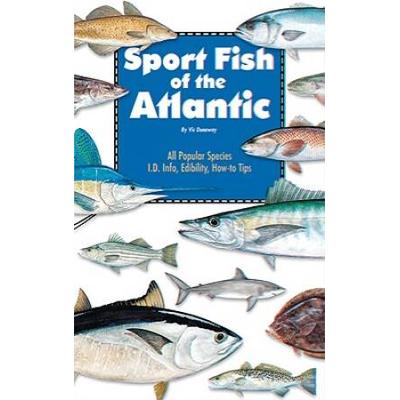Sport Fish Of The Atlantic