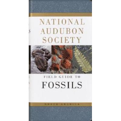 National Audubon Society Field Guide To Fossils