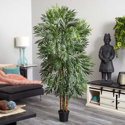 Charlton Home® 72" Artificial Palm Tree in Pot Silk/Plastic | 72 H x 36 W x 36 D in | Wayfair B15D9F24206945D1AB39F16601BA4593