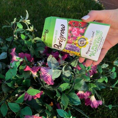 Touch of ECO Organic & Natural All Purpose Plant Food Growing kit, Size 6.0 H x 3.0 D in | Wayfair 6003-16