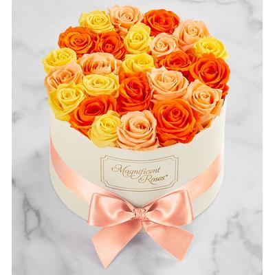 Magnificent Roses® Preserved Citrus Roses Magnificent Roses® Two Dozen Citrus by 1-800 Flowers