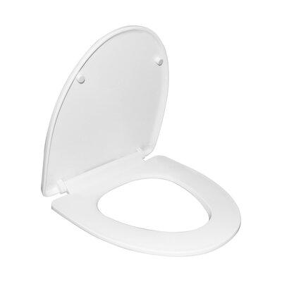DeerValley Elongated Toilet Seat in White | 2.4 H x 17.13 W x 15.31 D in | Wayfair DV-F807S11