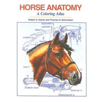 Horse Anatomy: A Coloring Atlas