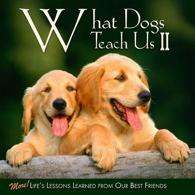 Willow Creek Press What Dogs Teach Us II Book