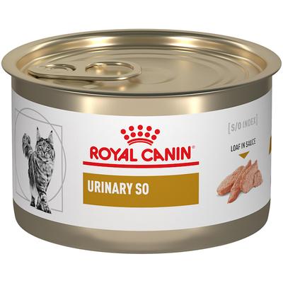 Royal Canin Urinary SO in Gel Wet Cat Food, 5.1 oz., Case of 24, 24 X 5.1 OZ