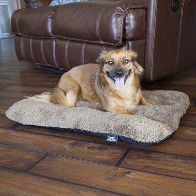 Tucker Murphy Pet™ Camille Mat Pad Polyester in Brown, Size 3.5 H x 33.0 W x 22.0 D in | Wayfair C1A2A08CBA43443898E78724E27EF2C8