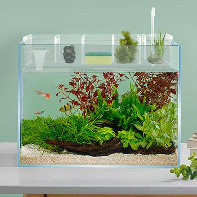 Tucker Murphy Pet™ Divergent Rectangle Aquarium Tank Acrylic (shatterproof w/ great clarity) | 5 H x 7 W x 17 D in | Wayfair