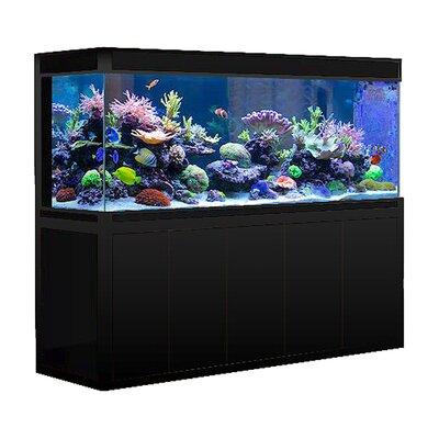 AQUA DREAM 394 Gallon Rectangle Aquarium Tank Glass in Black, Size 65.0 H x 26.7 W x 91.3 D in | Wayfair AD-2320-BP