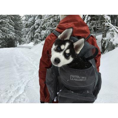 Outward Hound Backpack Pet Carrier Polyester in Gray, Size 8.0 H x 13.0 W x 13.5 D in | Wayfair 21006