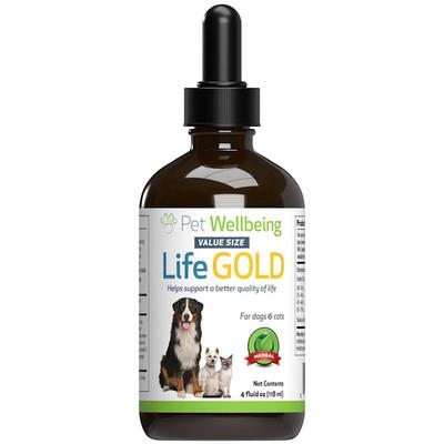 Life Gold Natural Cancer Support Supplement for Dogs, 4 fl. oz., 4 OZ