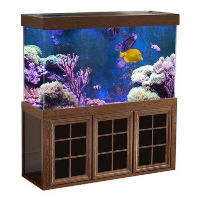 AQUA DREAM 50 Gallons Rectangle Aquarium Tank Glass (cost efficient & easy to clean) in Red/Yellow | 51 H x 14 W x 24 D in | Wayfair AD-1260-RD