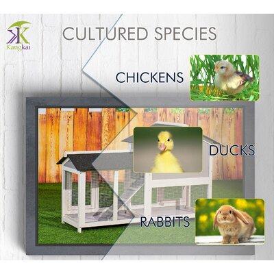Tucker Murphy Pet™ Chicken House, 58" Waterproof Wooden Animal Hutch, Indoor Outdoor Chicken Coop Rabbit Hutch Kit W/Roof | Wayfair