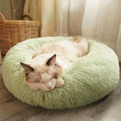 Tucker Murphy Pet™ Dog House All-Purpose Dog House Winter Warm Cat Mat Cat House Princess Pet Supplies Cat Bed in Green | Wayfair