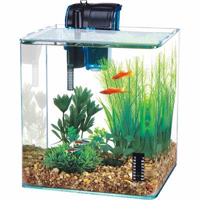 Penn Plax Vertex 2.7 Gallon Desktop Shrimp Aquarium Kit Glass (cost efficient & easy to clean) in Blue | 10 H x 9 W x 7.75 D in | Wayfair WW130
