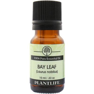 Plantlife Bay Leaf Essential Oil | 2.48 H x 0.94 W x 0.94 D in | Wayfair EBY10
