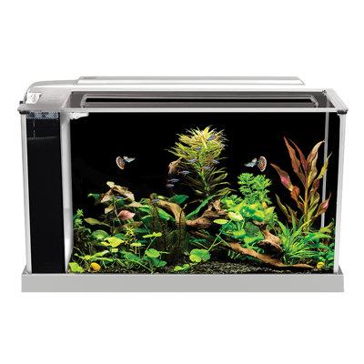 Fluval Spec V Aquarium Kit 5 Gal, White Glass (cost efficient & easy to clean) in Black | Wayfair 10516