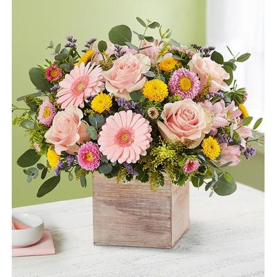 1-800-Flowers Seasonal Gift Delivery Spring Sentiment Bouquet Large