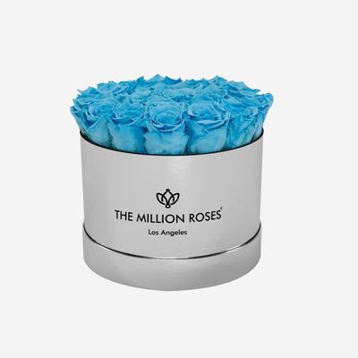 Classic Mirror Silver Box | Light Blue Roses