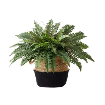 23in. Artificial Boston Fern Plant with Handmade Jute & Cotton Basket DIY KIT - Nearly Natural T4480