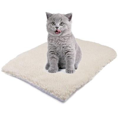 Tucker Murphy Pet™ Warm Lamb Wool Kennel Self-heating Cat & Dog Mat Pet Supplies Blanket Pet Bed Dog Mat Cotton in Brown | Wayfair