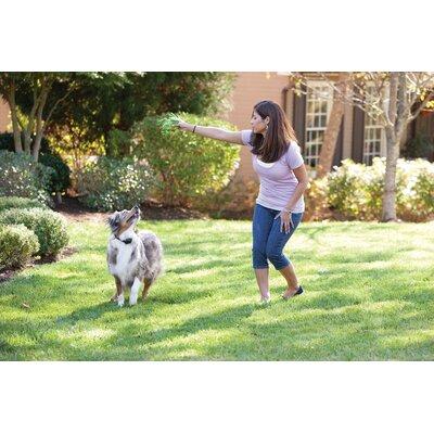 PetSafe® YardMax Electric Dog Fence Receiver Collar | 8 H x 3.88 W x 6 D in | Wayfair PIG00-11116