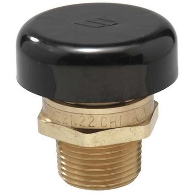 WATTS 1/2 LF N36 Vacuum Relief Valve,1/2 In,Up to 200 psi