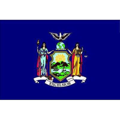 NYLGLO 143860 New York State Flag,3x5 Ft