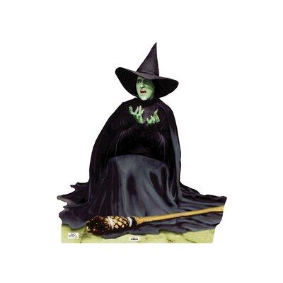Advanced Graphics "The Wizard of Oz" The Wicked Witch Melting Cardboard Stand-up, Size 52.0 H x 46.0 W in | Wayfair #570Cardboard Standup