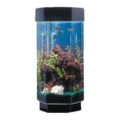 Tucker Murphy Pet™ 15 Gallon Hexagon Aqua Tower Aquarium - Alan Acrylic (shatterproof w/ great clarity) in Black | 31 H x 15.5 W x 14 D in | Wayfair