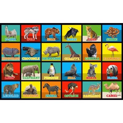 0.25 x 144 x 90 in Area Rug - Kid Carpet Animal Picture Squares Rug | 0.25 H x 144 W x 90 D in | Wayfair FA1139-44KC