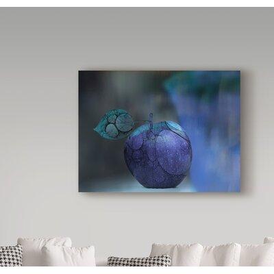 Trademark Fine Art 'Blue Apple' Graphic Art Print on Wrapped Canvas in White Black | 35 H x 47 W x 2 D in | Wayfair 1X05493-C3547GG