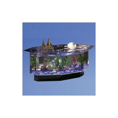 Archie & Oscar™ Claire Octagon Fish Tank Coffee Table Acrylic (shatterproof w/ great clarity) in Black | 15.5 H x 45 W x 26 D in | Wayfair