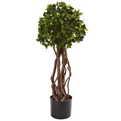 Primrue 2.5ft. English Ivy Topiary UV Resistant (Indoor/Outdoor) Polyester/Plastic | 30 H x 12 W x 11 D in | Wayfair ACOT4140 38022983
