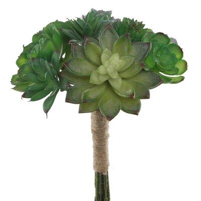 Ebern Designs Succulents Bouquet Flower Floral Arrangement in Green, Size 10.8 H x 6.0 W x 6.0 D in | Wayfair 6DA2E08110B546FD8ECB5B0B7526C50A