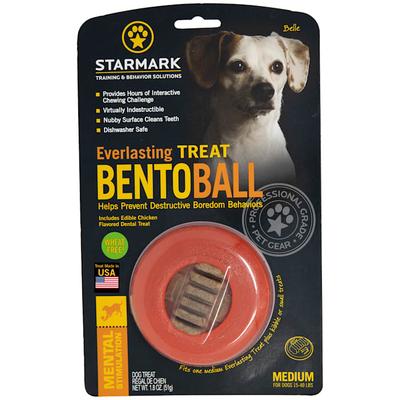 Everlasting Bento Ball with Dental Treat Dog Toy, Medium, Orange