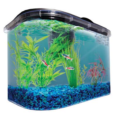 5.2 Gallon Freshwater Aquarium