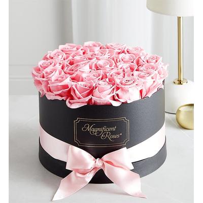1-800-Flowers Flower Delivery Magnificent Preserved Pink Roses Premier Pink