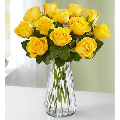 1-800-Flowers Flower Delivery Yellow Roses 12-24 Stems, 12 Stems W/ Clear Vase | Happiness Delivered To Their Door
