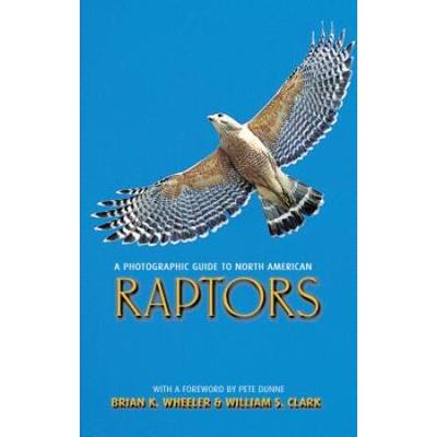 A Photographic Guide To North American Raptors