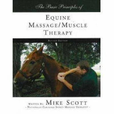 The Basic Principles Of Equine Massage
