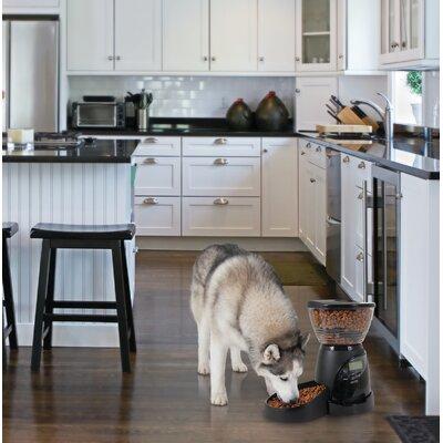 Aspen Pet Lebistro Programmable Automatic Feeder Plastic (affordable option) in White/Black, Size 16.88 H x 14.3 W x 9.8 D in | Wayfair 24240