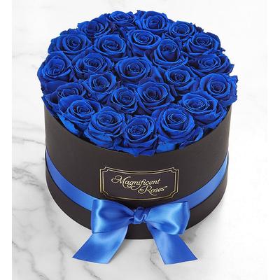 1-800-Flowers Flower Delivery Magnificent Preserved Blue Velvet Roses Premier Blue Velvet