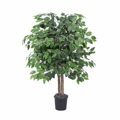 Three Posts™ Bush Ficus Tree in Planter Silk/Plastic in Black, Size 48.0 H x 30.0 W x 30.0 D in | Wayfair THRE4251 28382565
