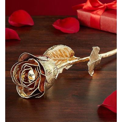 Preserved 24K Rose by 1-800 Flowers