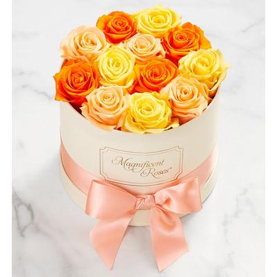 Magnificent Roses® Preserved Citrus Roses Magnificent Roses® One Dozen Citrus by 1-800 Flowers